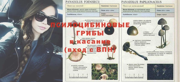 кокаин Вяземский