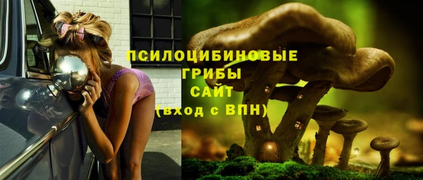 кокаин Вяземский